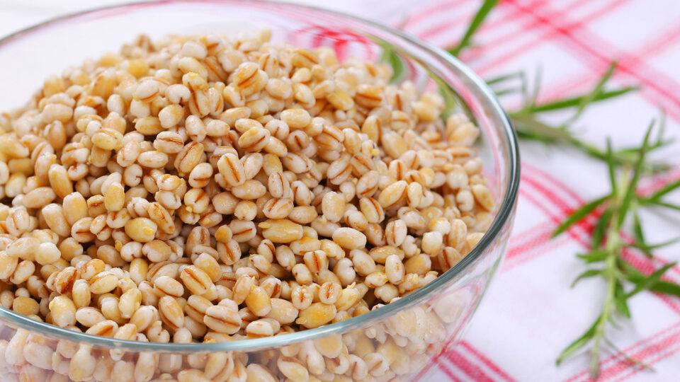 Κουάκερ ομορφιάς και μακροζωίας